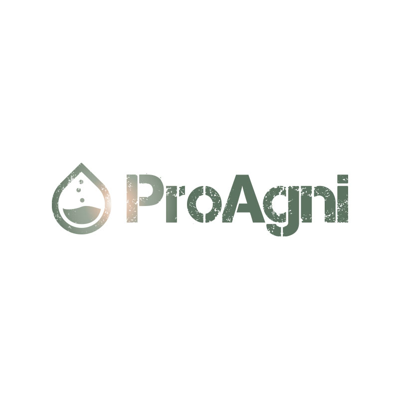 ProAgni Logo